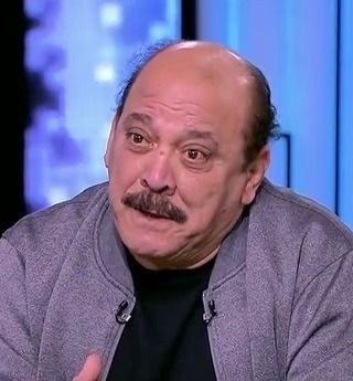 ضياء الميرغني