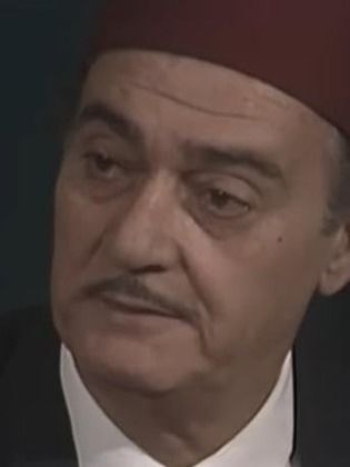 أنسي المصري