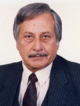 عصام الشناوي
