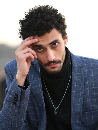 محمود الدلجموني