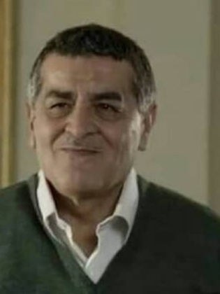 حسني بدر الدين