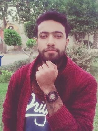 محمد حسن الجندي
